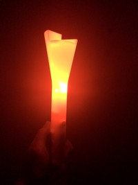 10 Torches En Cire - Durée 60 Min, Fabrication Allemande, Sans Suie, Pour Extérieur, Fêtes, Jardin